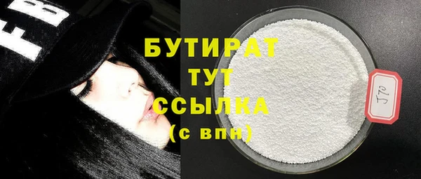 крисы Корсаков