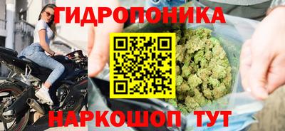 гидра Кунгур