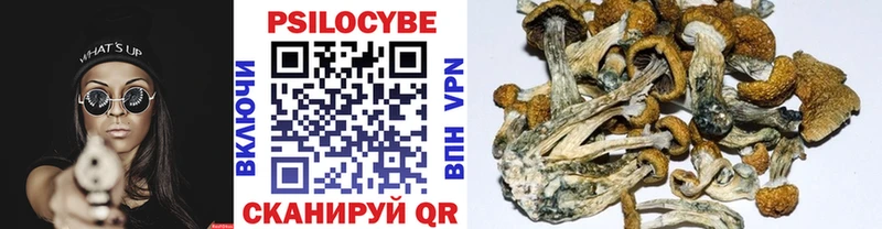 наркотики  Энгельс  Галлюциногенные грибы ЛСД 